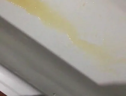 Peeing in the Bathtub