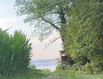 Risky Bwc Stroking Outdoors on Meadow with Lake View - Big Cumshot
