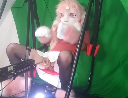 Dildo in My Furry Ass 1