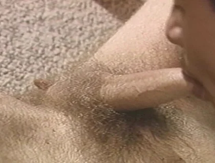 Two Guys Have Intense Anal Sex While Their Friend Masturbates with a Toy in the Bathroom