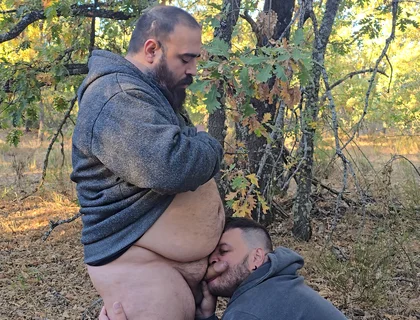 Fat Bears Suck Each Other's Cocks in the Forest