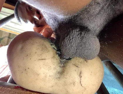 Amateur Big Ass Is Too Tight Make Me Cum Fast That I Did Not Expect