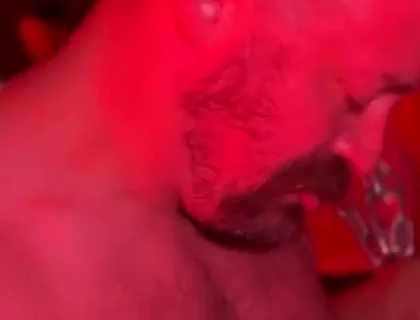 Bear Cruises the Dark Rooms