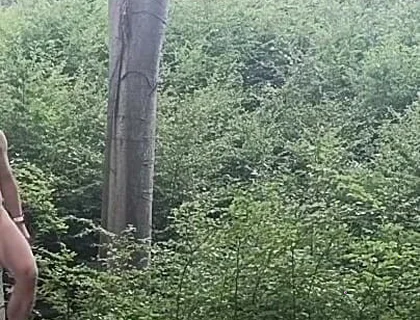 Between the Beeches: Rough Exhibition on Bare Wood