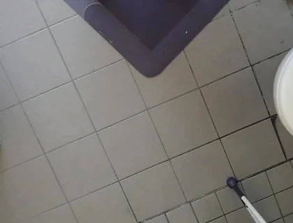 Video Examination of the Neck Holder for Ass