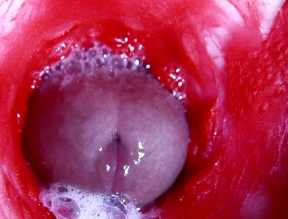 Hot Wet Sexy Hole and Sloppy Big Cock