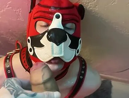 Top Fucks His Bitch With A Big Dick And Cums On Her Face