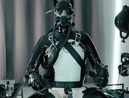 Rubber Pup Bound [pp Training]