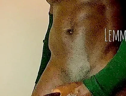 Buffy Guy Released Load of Cum