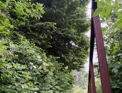 Netherland Guy Dared Strips and Walks Naked in the Park Candid