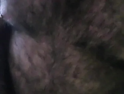 Bear Alone
