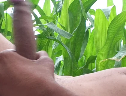 Worldwide Viral Desi Hunk Solo Action Part 4 - Premium Faceless Amateur Close-up Raw Stroking Session 4K