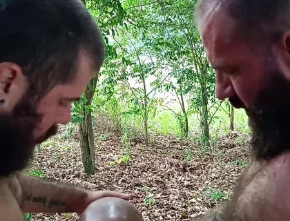 Two Stepbrothers Outdoor Hookup