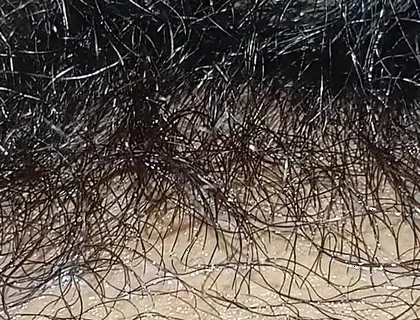 Handboy Masturbation After Frist Time