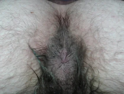 Cock Balls and Hairy Ass of Farts