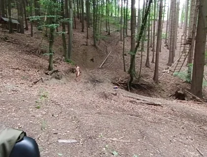 Wilderness Without Inhibitions Chasing in the Middle of the Forest