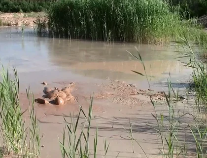 A Short Exploration of a New Mud Lake