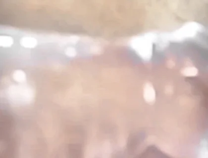 Who Orders Donuts with the Old Man's Penis