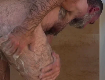 Hairy Bear on Holiday