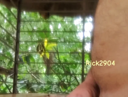 Playing with My Dick
