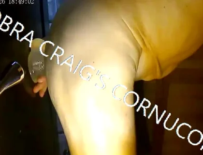 7-19-2026 Take It Fuckin Easy Cobra