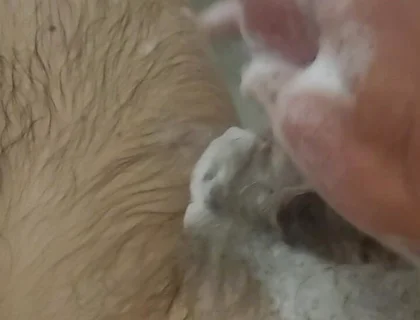Bathroom Fun