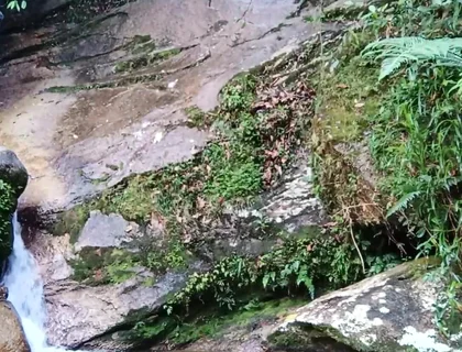 On a Walk to the River - Masturbation and Outdoor Urination
