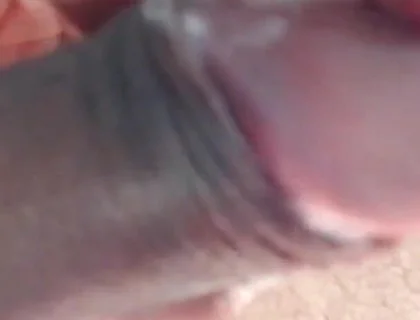 Macho Latin Stud Strips and Jerks His Uncut Cock for You