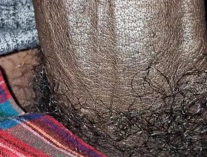 Big Chocolate Meat