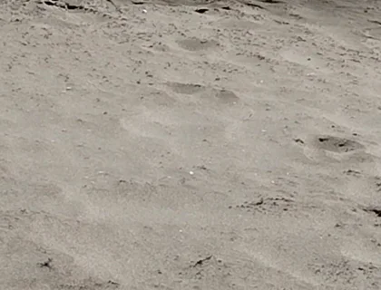On the Beach Nude