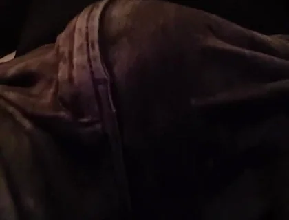 Stepfather on the Phone