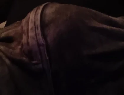 Stepfather on the Phone