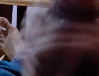 Rbation Hand Job Big Daddy Dick Amateur Masturbation Hand Job Teen Ass Big Daddy Dick Amateur Amateur Masturbation