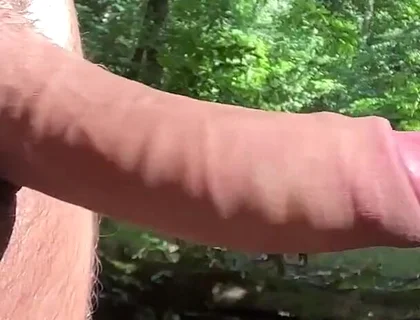 Private Lake Tim Blesh in the Forest