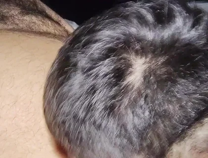 Suck My Fat Pig's Dick