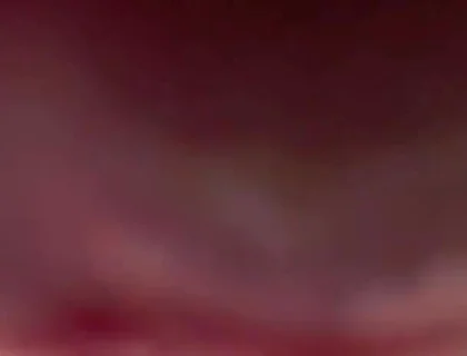 Your POV. Big Femboy Cock Right on Your Face