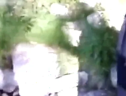 Jon Arteen Pissing Pee Outside. Twink Flirting in a Gay Cruising Park. Sexy Slim Boy in Adidas Sportwear