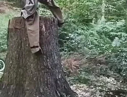 Stump Chase, Part One