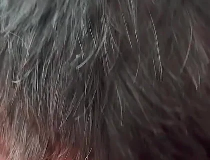 The Secret Intimacy of the Bears 3