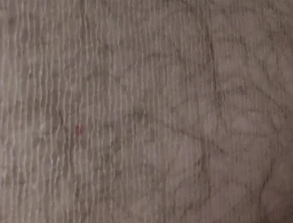 Sightseeing Flight of the Camera Over the Pantyhose
