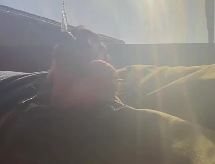 Pissing in Sunset