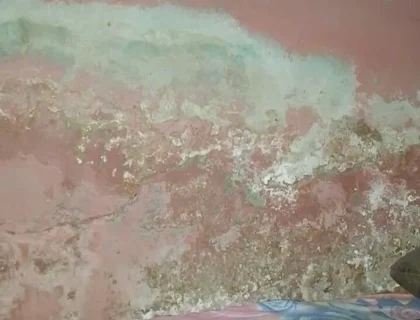 Big Cock Pees and Fucks His Bed Conspicuously