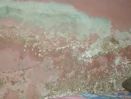 Big Cock Pees and Fucks His Bed Conspicuously