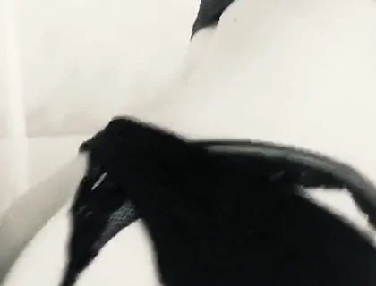 Slow Ride
