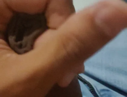 Cumming Loads From First POV