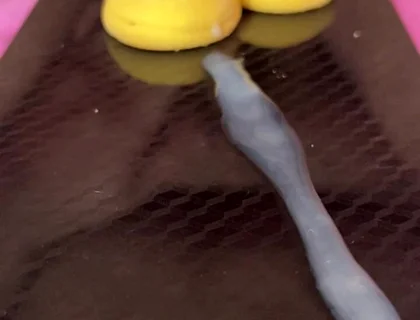 Does Anyone Not Like Sperm Cookies?