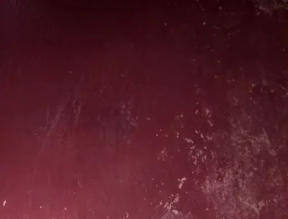 A Large Penis Seeking a Vagina