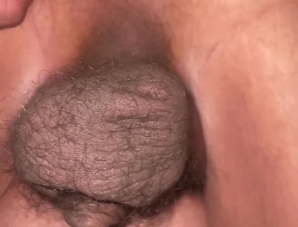 The the Great Wall of the Americas Is a