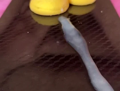 Does Anyone Not Like Sperm Cookies?