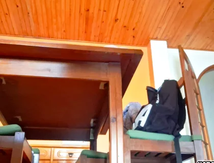 Horny Guy Humps Furniture Like Crazy - Table, Chair, Sofa & Kitchen Counter + Thick Cumshot